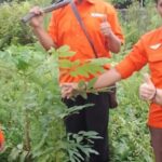 Satu Tahun Konsisten Bergerak: Gerakan Rakyat Kalteng Teguhkan Aksi Hijau sebagai Pilar Perubahan Berkelanjutan